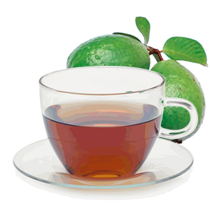 Guava Leaf Tea Benefits Weight Loss